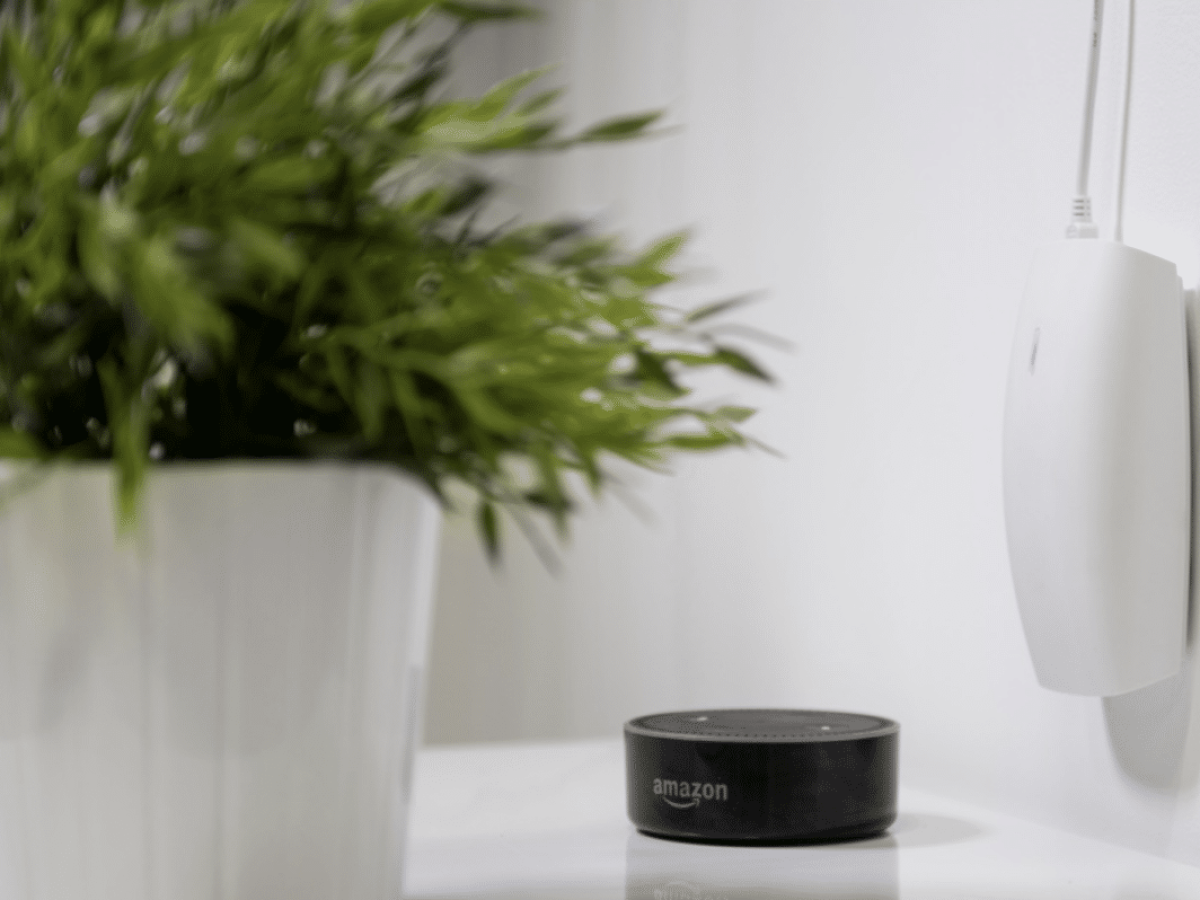 dreamhub next to alexa